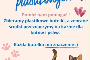 zbi&oacute;rka butelki
